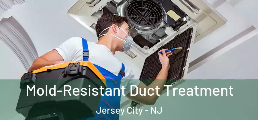  Mold-Resistant Duct Treatment Jersey City - NJ