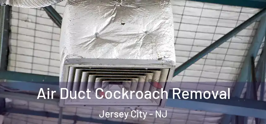 Air Duct Cockroach Removal Jersey City - NJ