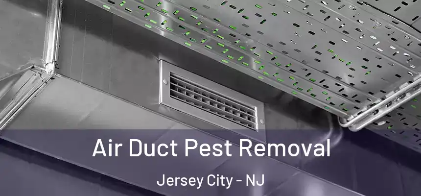 Air Duct Pest Removal Jersey City - NJ