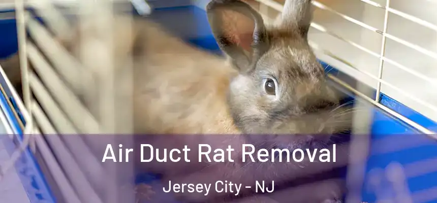  Air Duct Rat Removal Jersey City - NJ