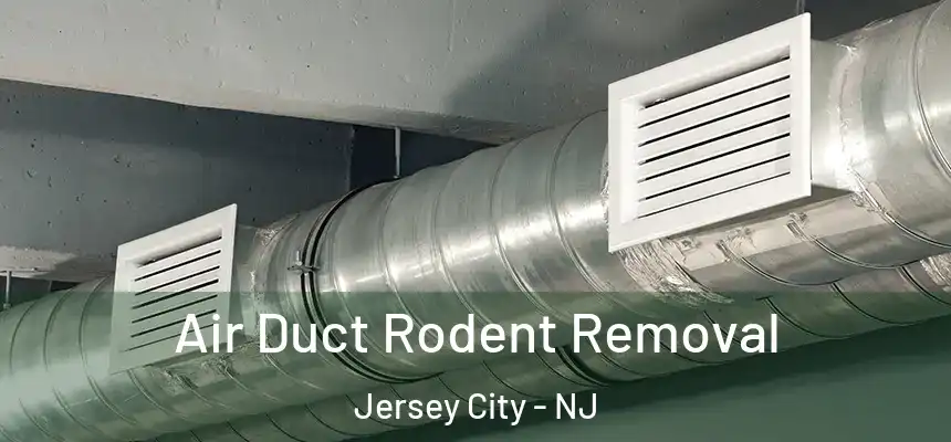 Air Duct Rodent Removal Jersey City - NJ