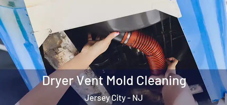 Dryer Vent Mold Cleaning Jersey City - NJ