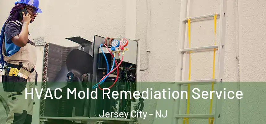HVAC Mold Remediation Service Jersey City - NJ
