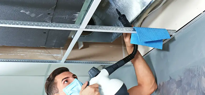 Our Air Duct Rodent Removal Services in Jersey City, NJ