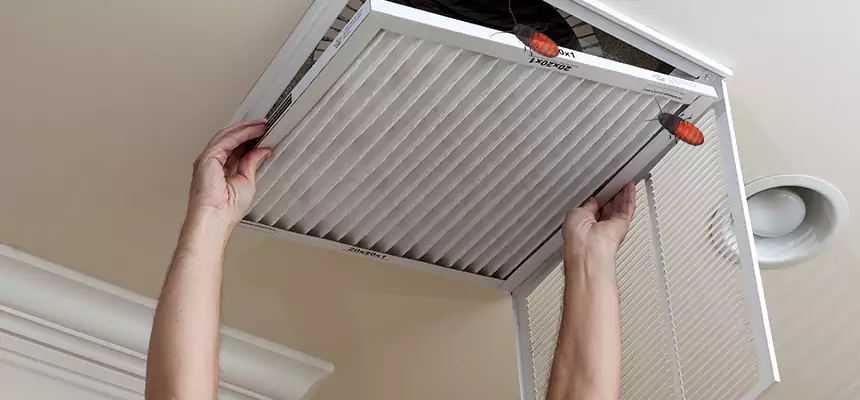 Our Insect Removal from Air Ducts Services in Jersey City, NJ