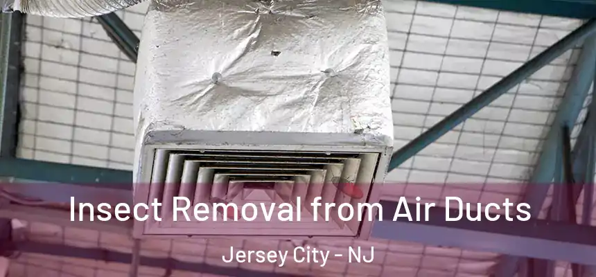 Insect Removal from Air Ducts Jersey City - NJ