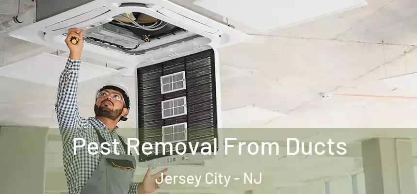 Pest Removal From Ducts Jersey City - NJ