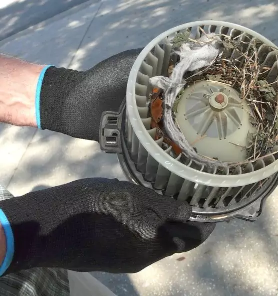 About Air Duct Rat Removal in Jersey City, NJ