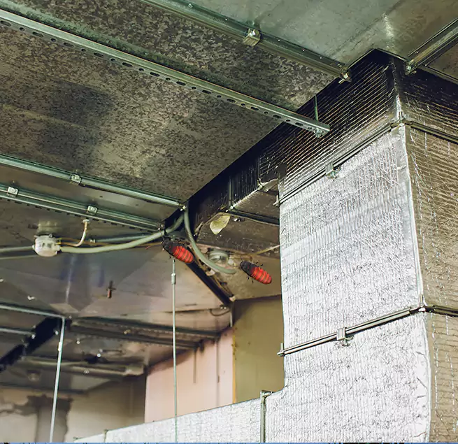 Why Homeowners & Businesses Trust Us in Jersey City, NJ?