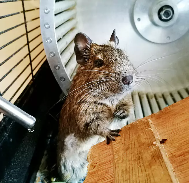 Why Homeowners & Businesses Trust Us Jersey City, NJ?