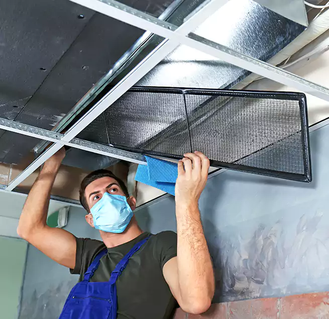 Why Homeowners Businesses Trust Us in Jersey City, NJ